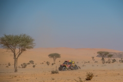 Foto-5