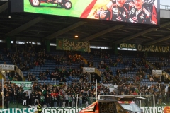 WhatsApp Image 2018-11-13 at 09.56.46